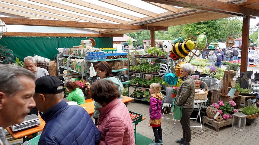Gro&szlig;es Interesse in Worbiser B&uuml;schlebsm&uuml;hle