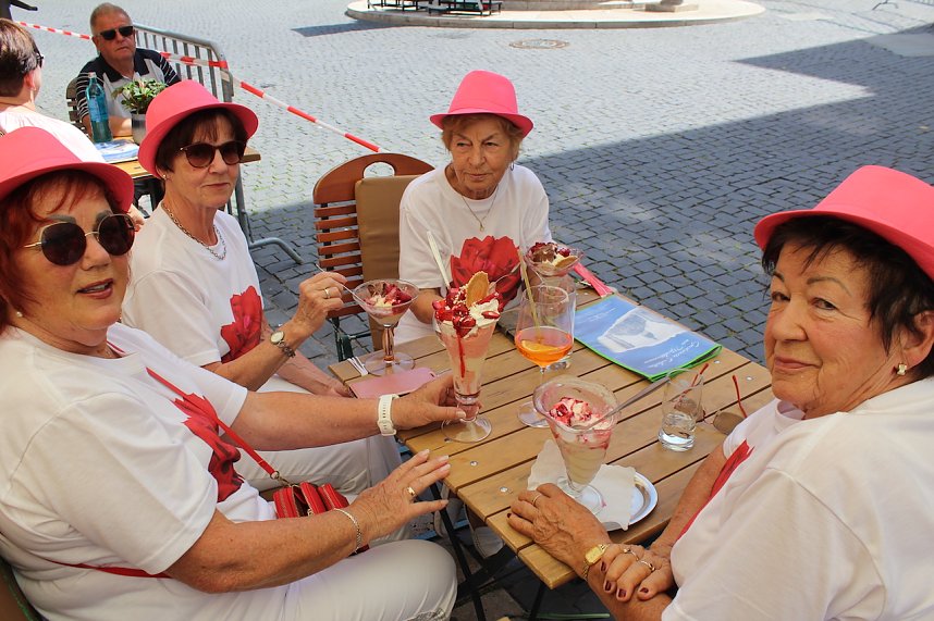 Brunnenfestumzug Bad Langensalza Teil 1