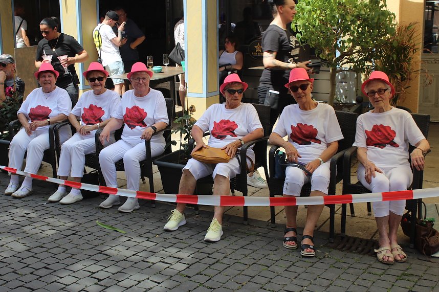 Brunnenfestumzug Bad Langensalza Teil 1