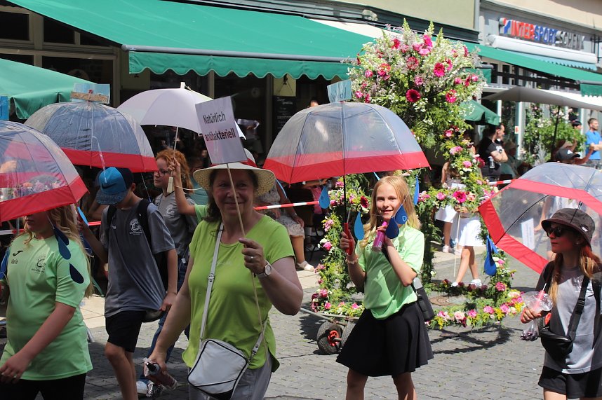 Brunnenfestumzug Bad Langensalza Teil 1