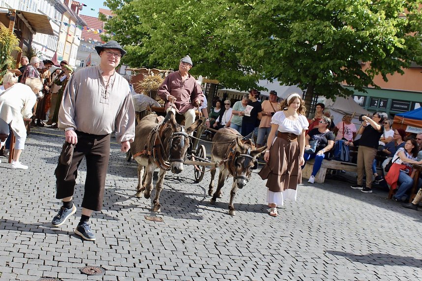 31.Mittelalterstadtfest Bad Langensalza