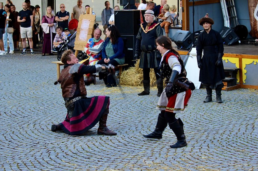 Rittergruppe HEROLD beim 31. Mittelalterstadtfest in Bad Langensalza