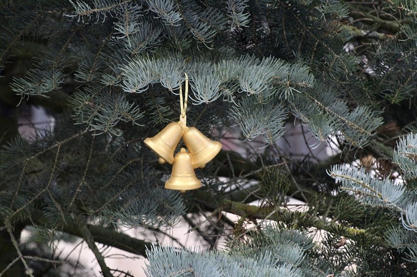Gro&szlig;e Freude bei kleinen Wichteln - Kita Kinder schm&uuml;cken Weihnachtsbaum am Bad Langensalzaer Rathaus