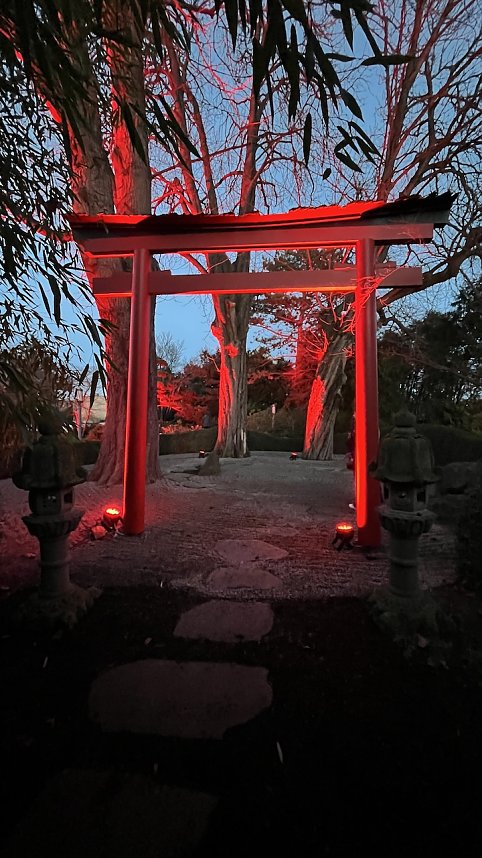 Die Lichterpoesie in Bad Langensalza ist er&ouml;ffnet