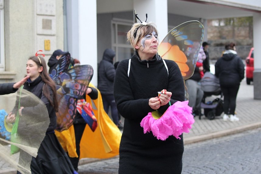 Karnevalsumzug in Bad Langensalza