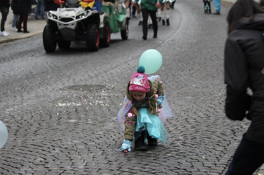 Karnevalsumzug in Bad Langensalza