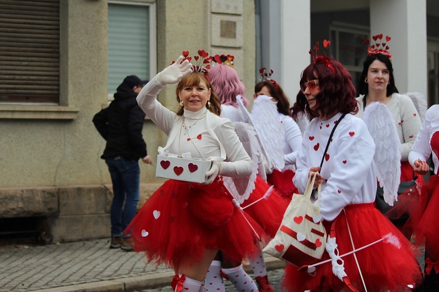 Karnevalsumzug in Bad Langensalza