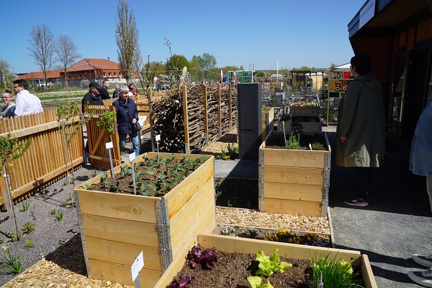 Impressionen von derEr&ouml;ffnung der Landesgartenschau in Leinefelde. 