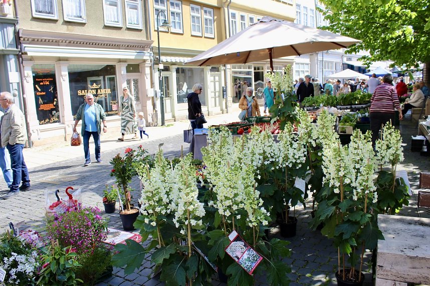 Gr&uuml;nes Innenstadtfest Bad Langensalza