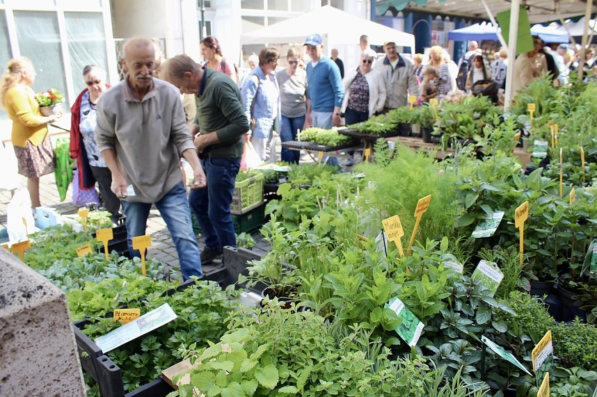 Gr&uuml;nes Innenstadtfest Bad Langensalza