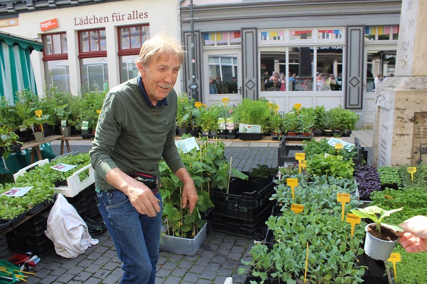 Gr&uuml;nes Innenstadtfest Bad Langensalza