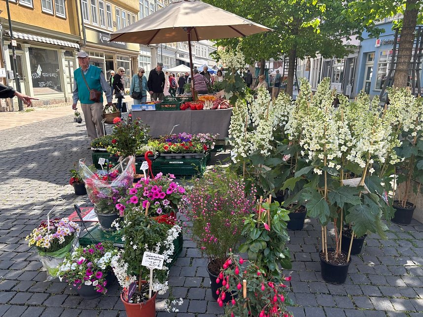 Gr&uuml;nes Innenstadtfest Bad Langensalza