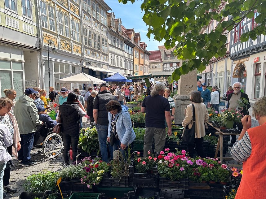 Gr&uuml;nes Innenstadtfest Bad Langensalza