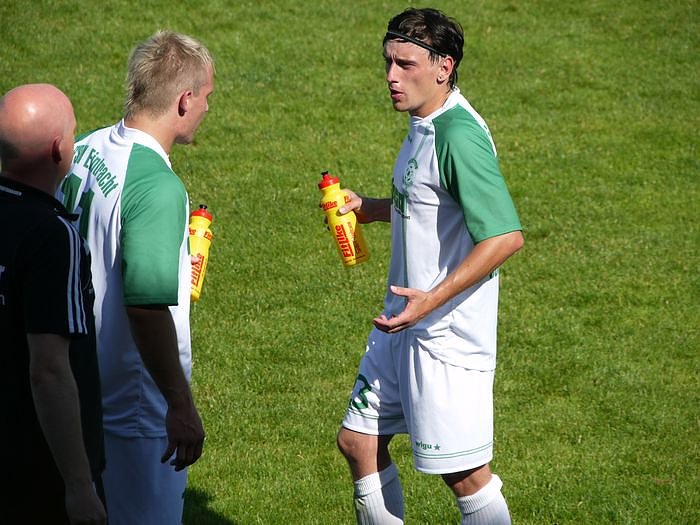 Vier Tore am G&ouml;ldner