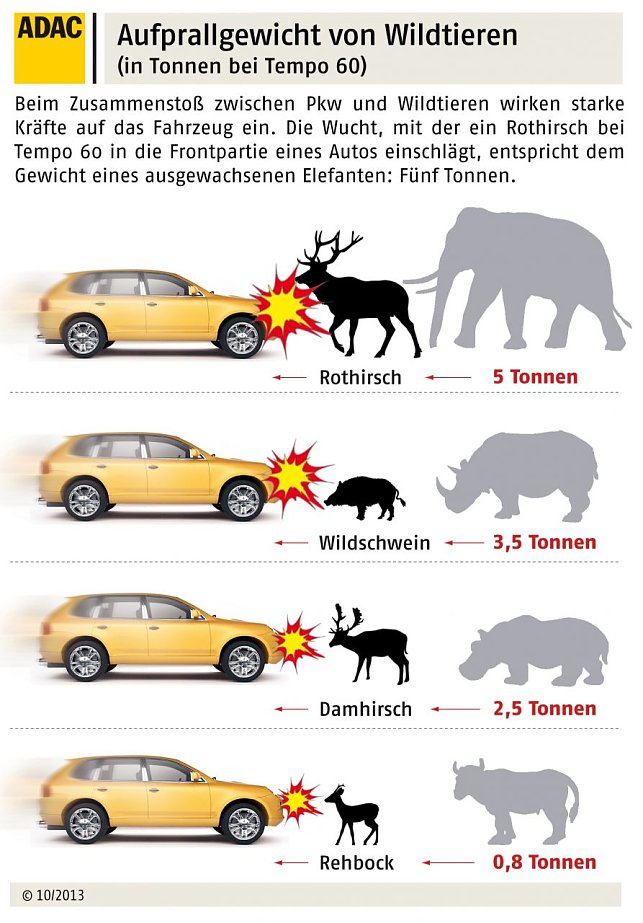 Bild: Grafik
